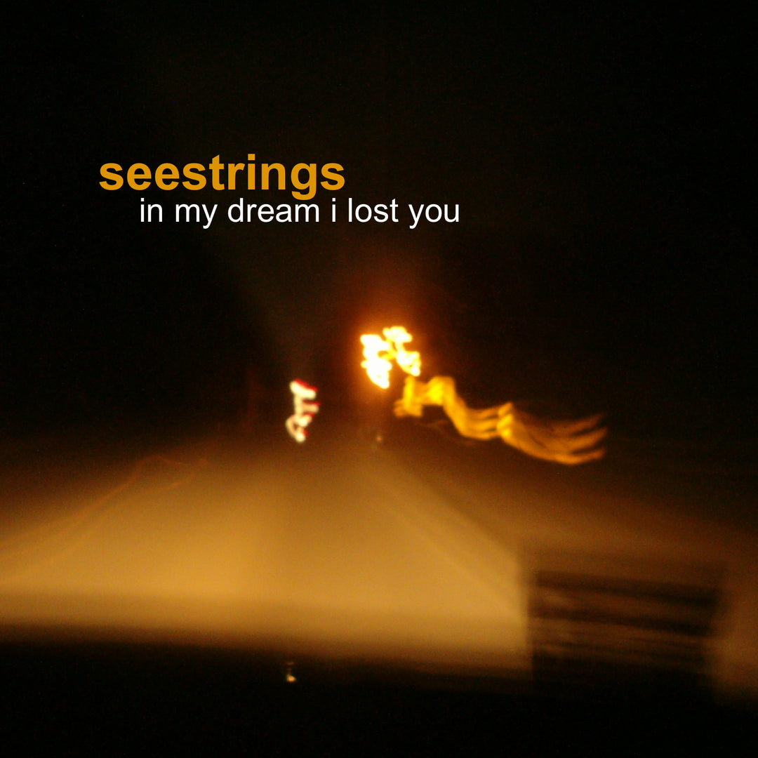 Seestrings - In My Dream I Lost You