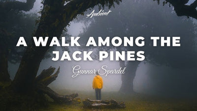 Gunnar Spardel - A Walk Among The Jack Pines