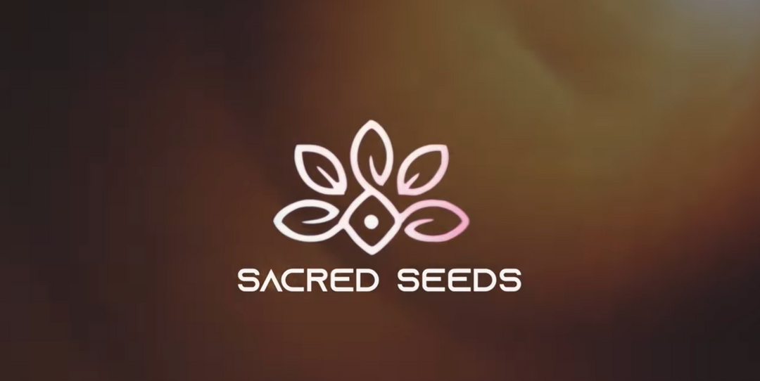 Sacred Seeds - Live at Utopian Dystopian (2022)