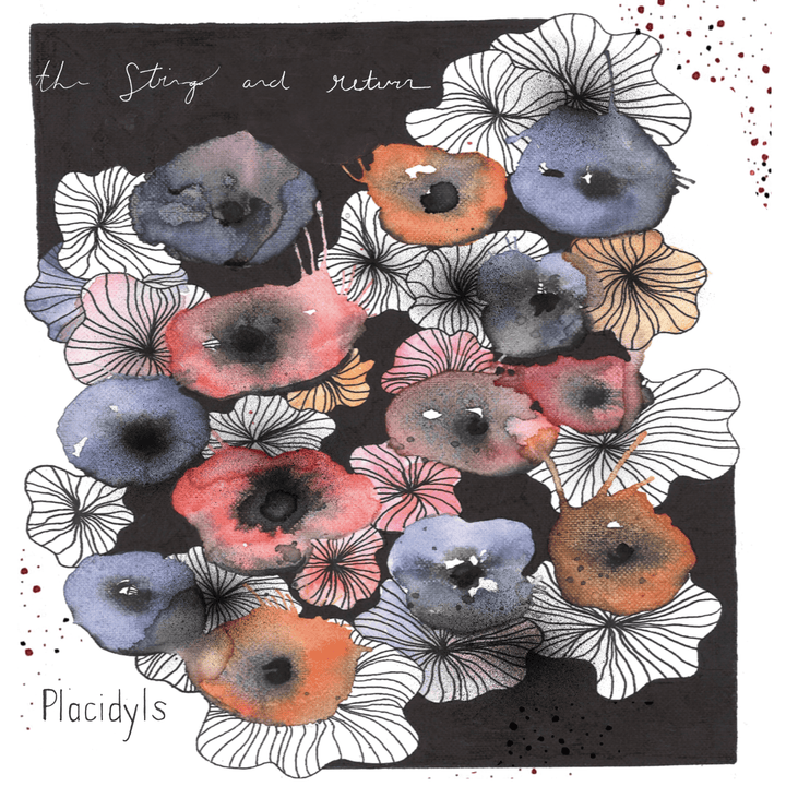 The String & Return - Placidyls