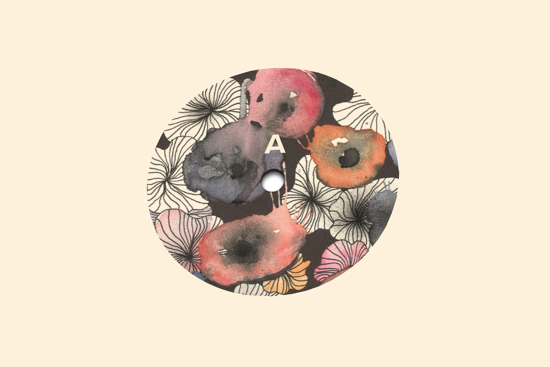 The String & Return - Placidyls