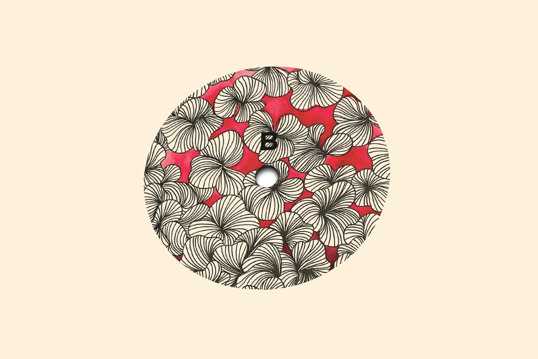 The String & Return - Placidyls