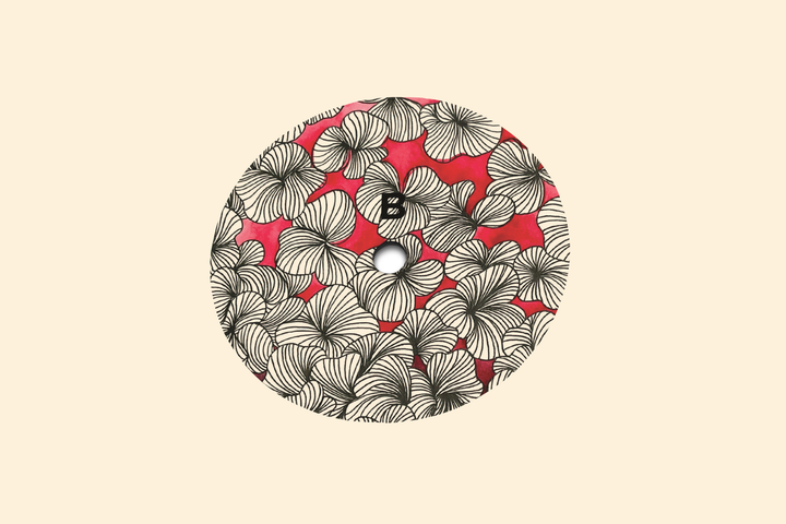 The String & Return - Placidyls