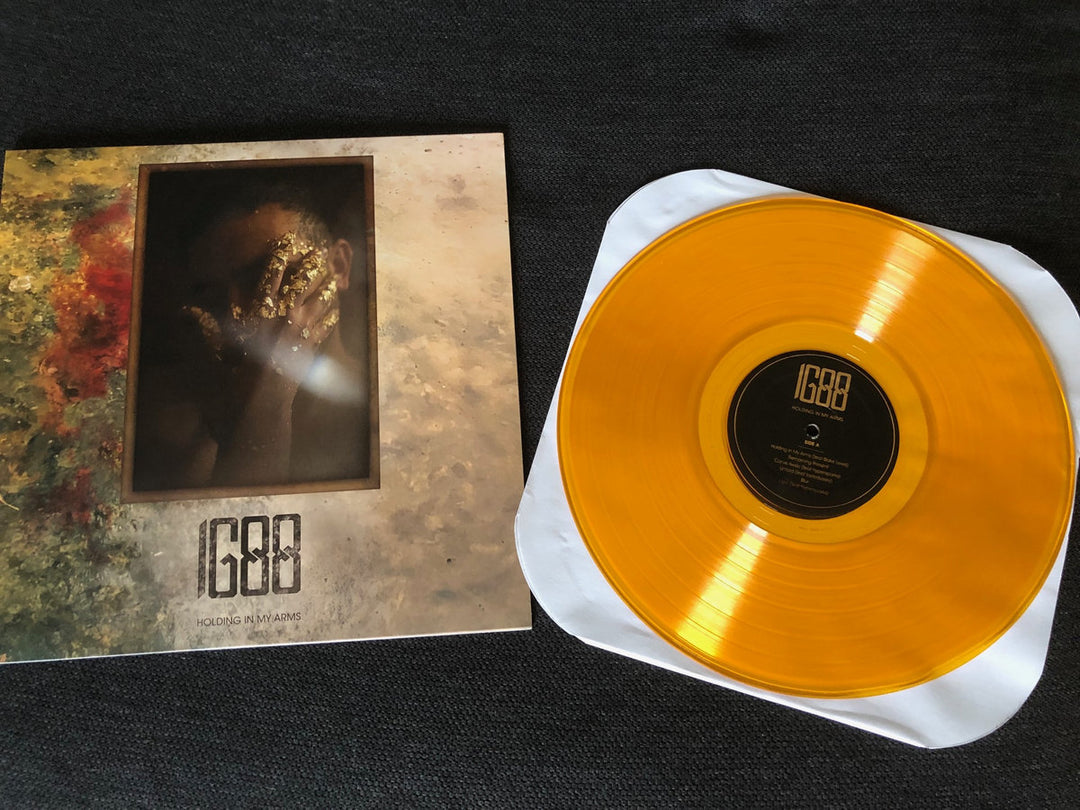 IG88 - Holding In My Arms