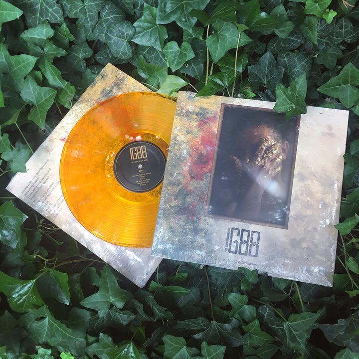 IG88 - Holding In My Arms